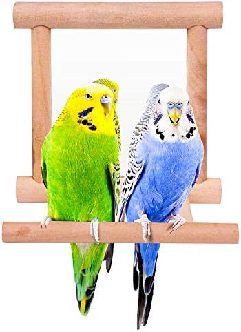 Блажена семејна птица огледало за пакувања за кафез, столб за папагали, дрвена играчка за замавнување на колибри, додатоци за