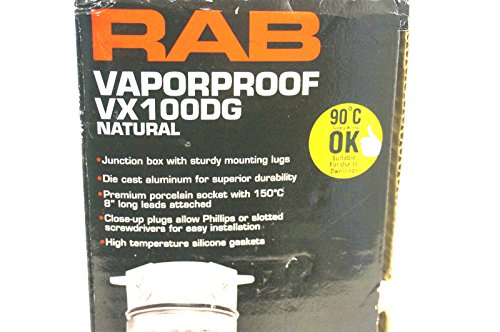 Rab Lighting VX100DG VaporProof Vx 4 тавански кутија монтирање со стаклен глобус и леана стража, тип A19, алуминиум, моќност од 150W, центар