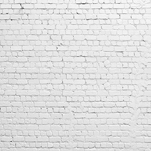 ХУАИ 5х5фт Сива Тула Ѕид Фотографија Позадина Екон Винил Позадина Портрети Фото Кабина Д-2504