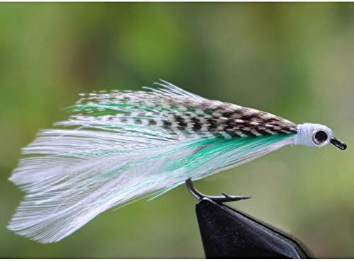 Tigofly 24 парчиња летаат со крилен крилен лосос, пастрмка, летаат солена вода, летаат риболов мами