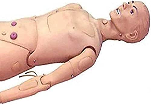 Tuozhe PVC CANITAR CANIRE MANIKIN со машки и женски размена на гениталии целосна обука на телото CPR симулатор за обука на медицинска сестра Маникин