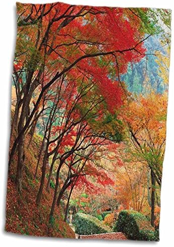 3drose Florene America Прекрасната - есенска боја во Вашингтон - крпи