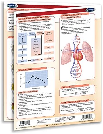 Кардиоваскуларна физиологија - Биологија - Медицински водич за брза референца од Пермахартс