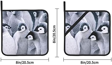 Симпатична плоштад пингвин изолирани држачи за тенџериња за лесно складирање. со џебови за лесна употреба