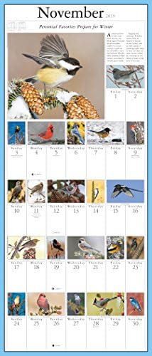 Audubon Songbirds и други птици во задниот двор Слика-ден Календар 2019