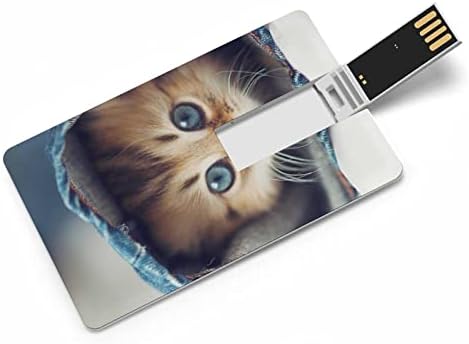 Симпатична мачка картичка USB 2.0 Flash Drive 32g/64g шема отпечатен смешно