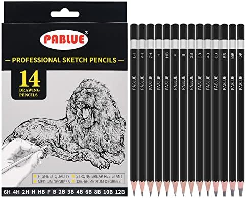 Pablue Professional Triagular Skitching Skitching Pencil Set, 6H, 4H, 2H, H, HB, F, B, 2B, 3B, 4B, 6B, 8B, 10B, 12B Graphite Sтенка