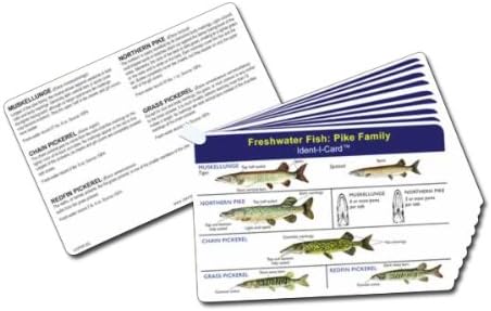Идентите-јас-картички сет на риби од 9 картички за идентификација на риби од слатководни риби