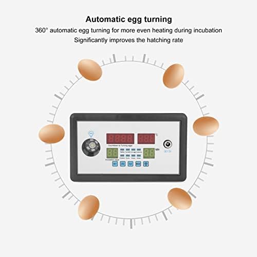 Термостат За Контролор На Инкубатор за јајца, Интелигентен Термостат За Инкубатор Автоматска Функција За Аларм Професионален Паметен