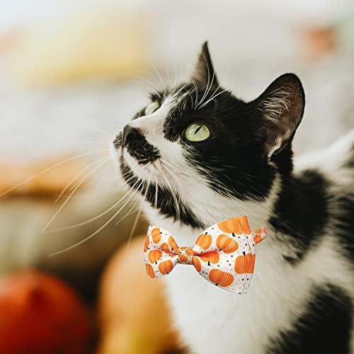 Денот на благодарноста Мачка Јака, Fall Holiday Одмор Турција Тиква Маче Маче Мачка Јака За Мачка Девојки И Момчиња