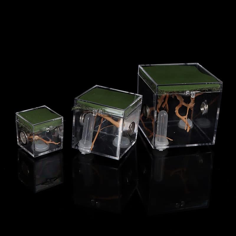 Кроборталес Рептил Терариум-Акрилна Транспарентна Кутија За Набудување За Инсекти Влекачи Терантула Богомолка Скорпија Крикет