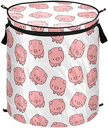Симпатични животни свињи се појавуваат алишта за алишта со капакот за складирање на капакот за складирање на капакот за хотелски дом за