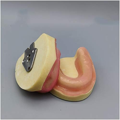 KH66ZKY Стоматолошка имплантација Демонстрација Модел Модел на заби Меки непцата за возрасни стоматолошко учење вежби целосна уста за заби за