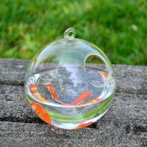 Висечки стаклен резервоар за риба транспарентна сферична риба сад креативни вазни за риболовци