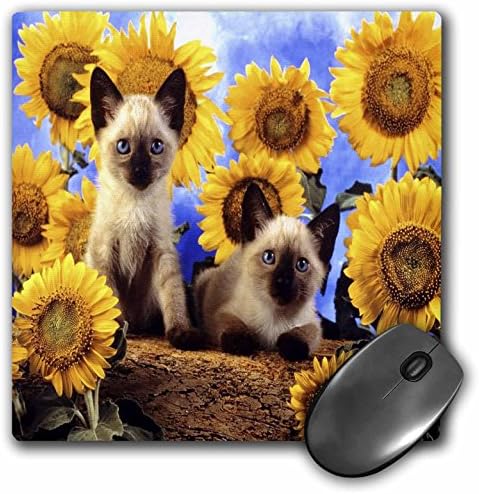 3дроуз доо 8 х 8 х 0,25 Инчи Подлога За Глувче, Симпатични Сијамски Мачиња N' Сончогледи