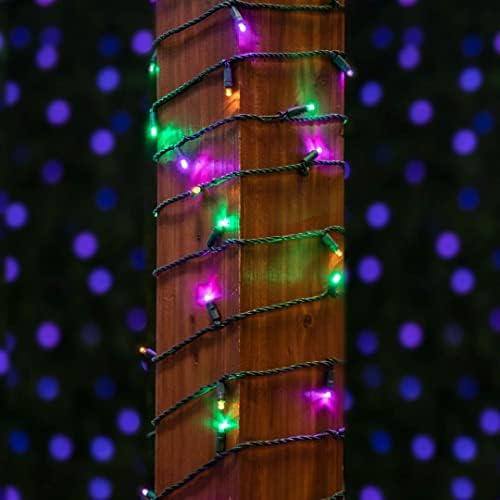 Новости светла 100 светло жолта/виолетова/зелена LED Mardi Gras Mini String Light Set, UL наведен затворен/отворено, зелена жица, 50 стапки