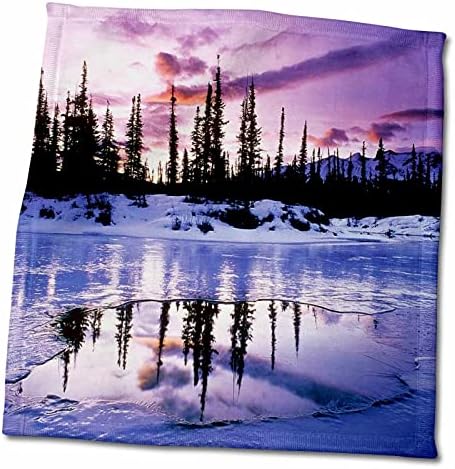 3drose Florene America The Beautiful - Alaskan Purple Sunset - крпи