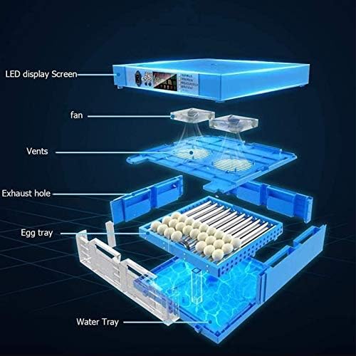 ЗАПИОН Дигитални Јасно Јајце Инкубатор Со Автоматско Јајце Вртење и Влажност &засилувач; Контрола На Температурата ПРЕДВОДЕНА Свеќник За Кокошки