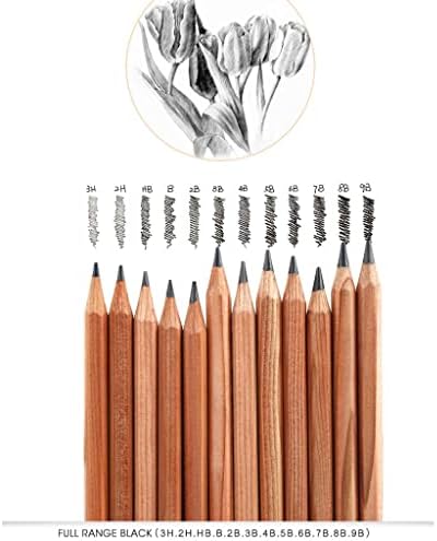 Liruxun 21pcs Професионална скица за цртање вредност за цртање Поставен со црни моливи за моливче од јаглен за уметнички алатки за