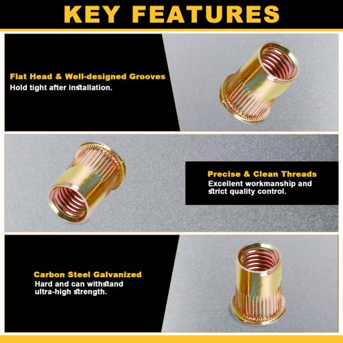 Siptenk Метрички Занитвам Орев 425PCS, M3 M4 M5 M6 M8 M10 M12 Rivnuts Nutserts Асортиман Комплет Цинк Позлатени Јаглероден Челик Рамна Глава