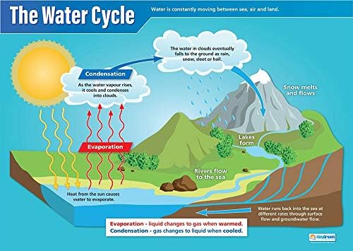 Циклус на вода | Научни постери | Сјајска хартија со мерење 33 ”x 23,5” | СТЕМ -топ листи за училницата | Графикони за образование
