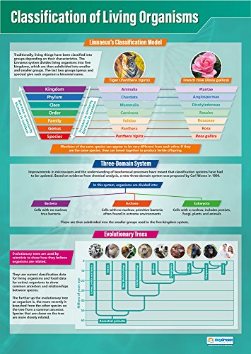 Класификација на дневно образование на живи организми | Научни постери | Сјајска хартија со мерење 33 ”x 23,5” | СТЕМ -топ листи за училницата