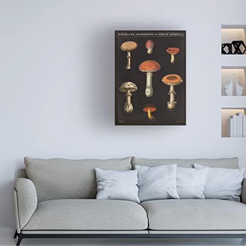 Трговска марка ликовна уметност „Табела за печурки III“ портфолио на Wild Apple