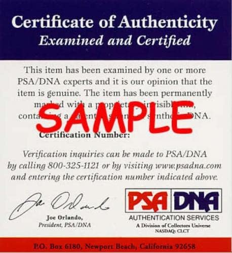 Винс Колман ПСА ДНК потпиша 8x10 фото -автограмски кардинали - автограмирани фотографии од MLB