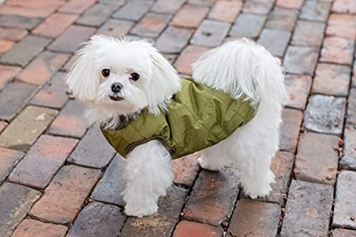 Зелена Божиќна јакна за кучиња | BoxDog мека зелена кучиња јакна со водоотпорна внатрешна обвивка I кучиња палта за мали кучиња