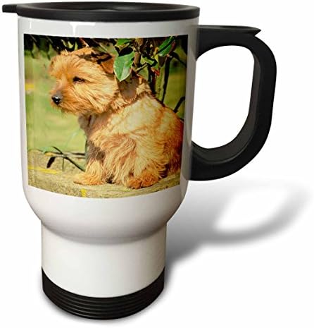 3drose Cairn Terrier Патување Кригла, 14-Унца, Нерѓосувачки Челик