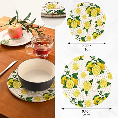 Алаза лимон бела тенџере за држачи за ситници поставени 2 парчиња, постери за кујни, памучни крајбрежни сили за топли садови/топли садови