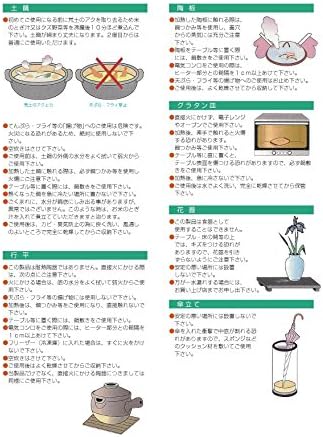 Bakunouchi Bento Box, Takehime Bento Green, пониско ниво, 14,8 x 4,1 x 2,1 инчи, ABS смола, ресторан, Ryokan, јапонски прибор за јадење, ресторан,