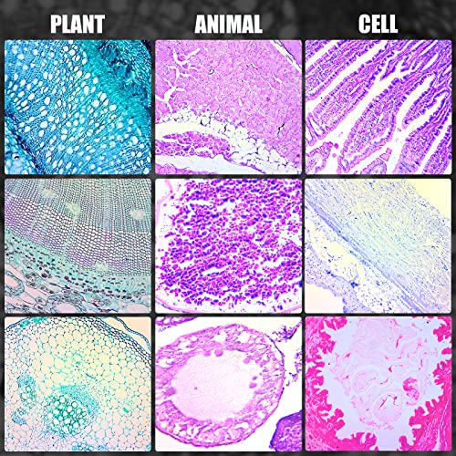 50 парчиња Подготвени Слајдови Со Микроскоп Со Примероци За Студенти Биологија И Наука Рано Образование, Подготвени Слајдови Со Микроскоп
