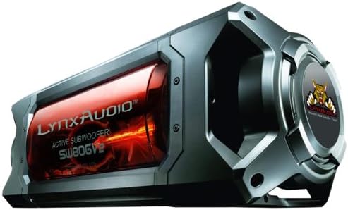 Рис Аудио СВ-806В2 8-Инчен Активен 300в Сабвуфер Прилагодено Пренесена Проѕирна Звучна Кутија Со Вграден 200в Високофреквентен Засилувач