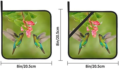 Копчиња за колибри цицаат нектар топла подлога држач за тенџере со топло со џеб 2 парчиња квадратни тенџери за држачи 8 × 8