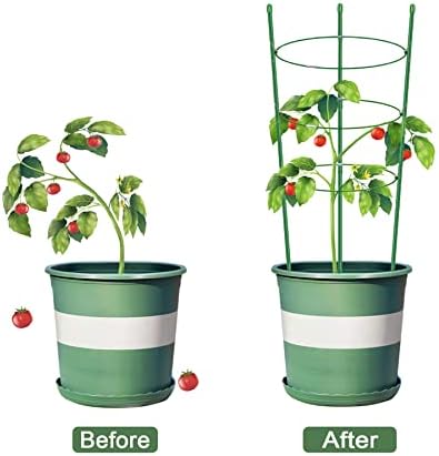 Кафези за поддршка на растенијата Alliico за качување на растенијата надградба на цветниот кафез со домати со Stand Stakes и стабилни